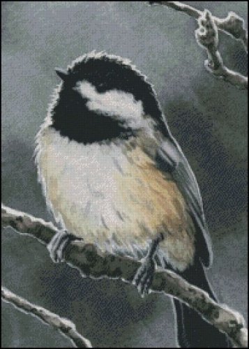 (image for) Waiting for Spring